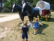 OC-Babies 077.jpg